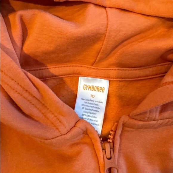 Gymboree Pumpkin Print Hoodie and Leggings - Picture 3 of 7